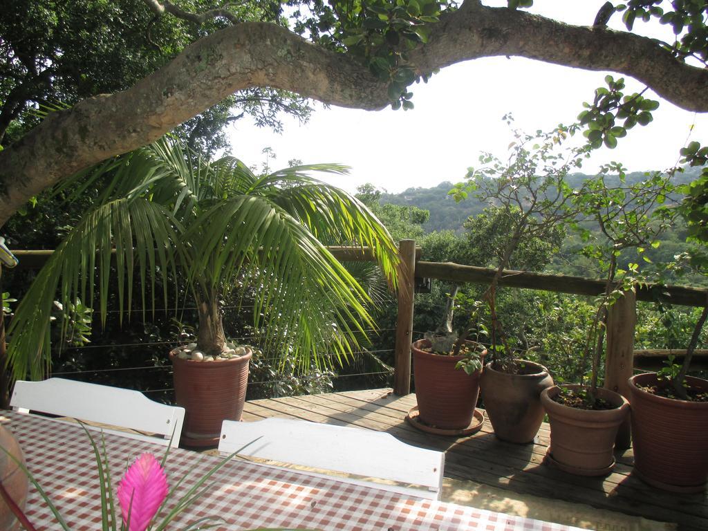 Utopia In Africa Guest Villa Mbombela Ngoại thất bức ảnh